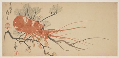 Aragosta, prugna e ramo di pino, c.1818 da Shibata Git